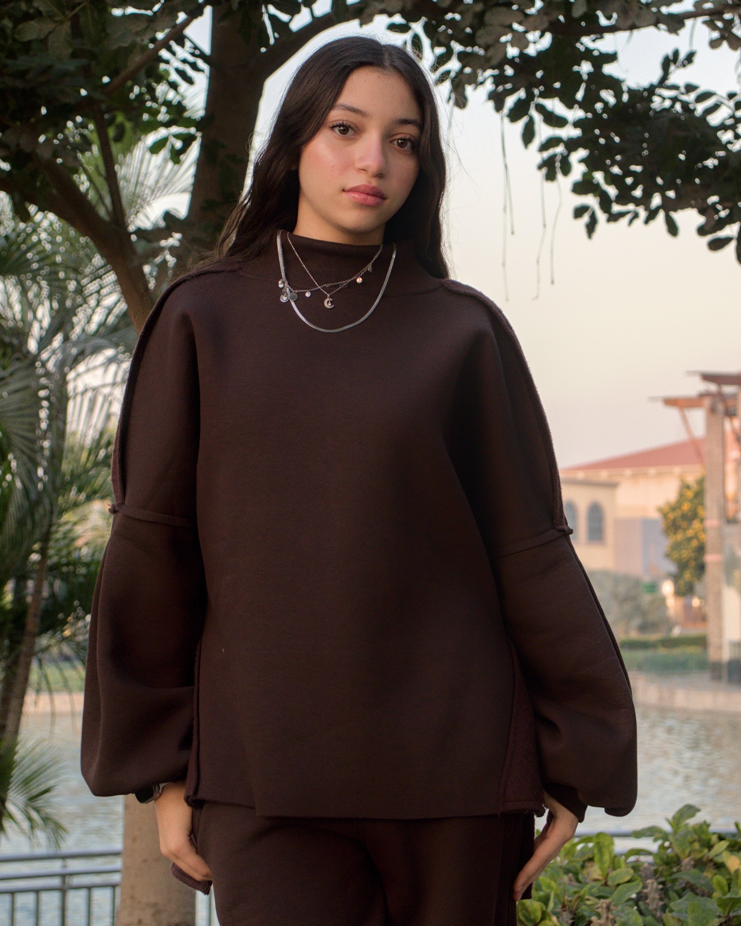 Ballon sleeves